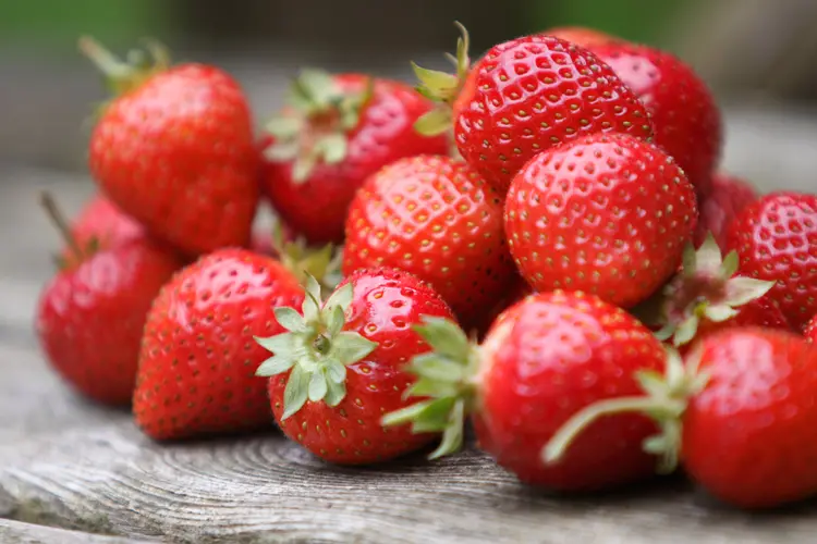 Fruit 1
